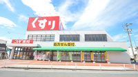 スギ薬局　名和店の外観