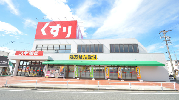 スギ薬局　名和店の外観