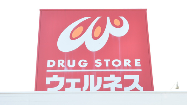 ウェルネス薬局　大田店の看板
