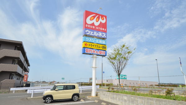 ウェルネス薬局　白枝店の看板