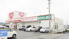 レデイ薬局鷹子店の外観