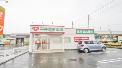 レデイ平井調剤薬局