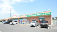 レデイ薬局十川店の外観