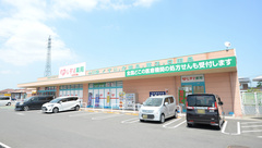 レデイ薬局十川店の外観