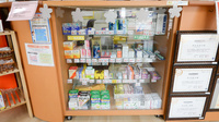 レデイ薬局藤塚店の一般医薬品