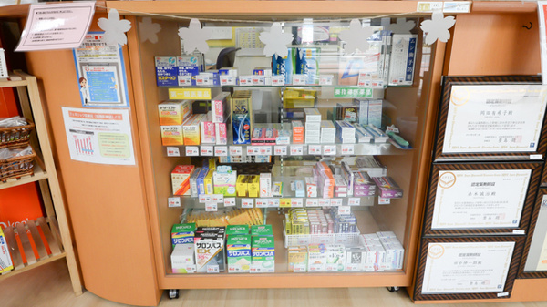 レデイ薬局藤塚店の一般医薬品