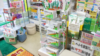 有限会社　石井薬局の健康食品