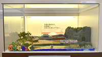 ひび薬局のその他
