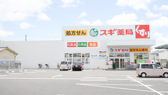 スギ薬局　宝殿店の外観