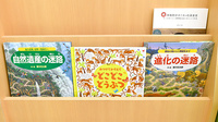ドラッグセイムス大宮佐知川薬局のキッズ用品
