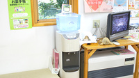 かめちゃん調剤薬局のフリーサービス