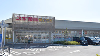スギ薬局　フレスポ桶川店の外観