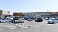 スギ薬局　フレスポ桶川店の駐車場