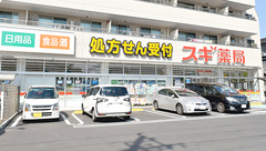 スギ薬局　南加瀬店の外観