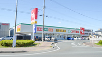 スギ薬局　浜松海老塚店の外観
