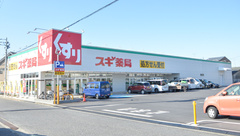 スギ薬局　岡崎欠町店の外観