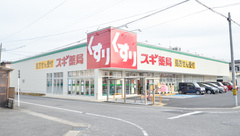 スギ薬局　陣中店の外観