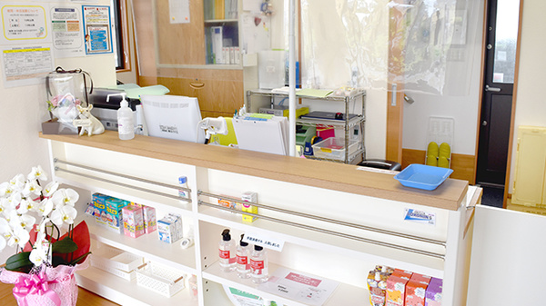 こぶた薬局長谷の受付/カウンター