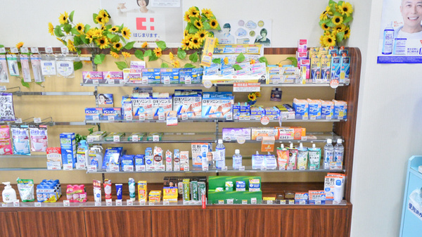 ココカラファイン薬局鳳店の一般医薬品