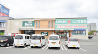 セガミ薬局江津店