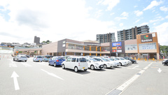 ココカラファイン薬局もりつね店の外観