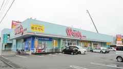 ウォンツ西岩国薬局の外観