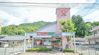 レデイ薬局とみす店の外観
