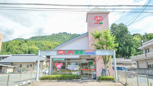 レデイ薬局とみす店の外観