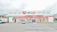 レデイ薬局道後石手店の外観