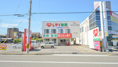 レデイ薬局丸亀城東店の外観