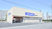 あやめ薬局古河店の外観