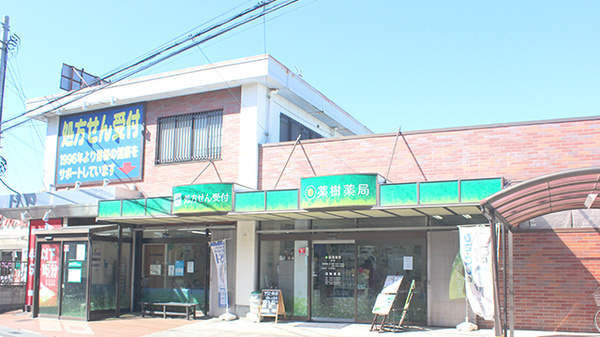 薬樹薬局　伊奈の外観