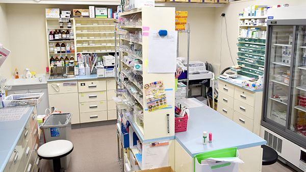 徳永薬局笹目店の調剤室