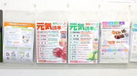 イワナガ大蔵薬局の冊子