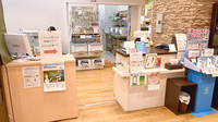 健ナビ薬樹薬局　鹿島田の受付/カウンター
