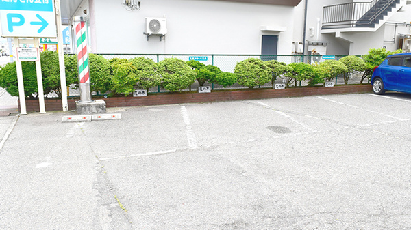 大徳はなの木薬局の駐車場