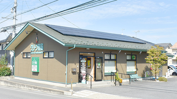 グリーン薬局の外観