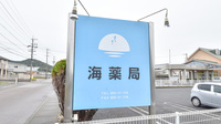 海薬局の看板