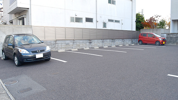ネット予約可 たんぽぽ薬局 新笠松店 岐阜県羽島郡 笠松町田代 Eparkくすりの窓口