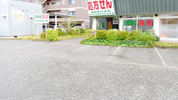けやき薬局の駐車場