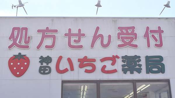 神田いちご薬局の看板