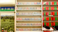 井上薬局の一般医薬品