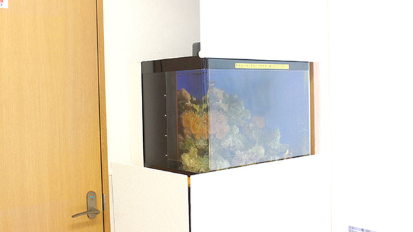 エール調剤薬局加佐登店のその他