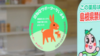 平安堂薬局渡橋店の認知症サポーター
