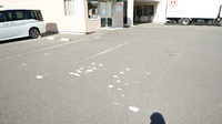 西日本ファーマシーの駐車場