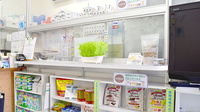 ひつじ薬局の受付/カウンター