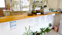 コスモ調剤薬局の受付/カウンター