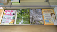 やまぐま薬局の冊子