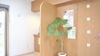 こもり薬局の受付/カウンター