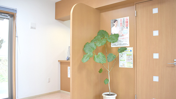 こもり薬局の受付/カウンター